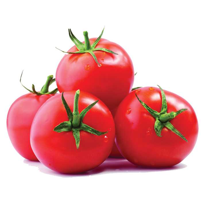 الطماطم في المنام